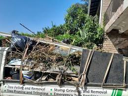 Best Residential Junk Removal  in New Tazewell, TN