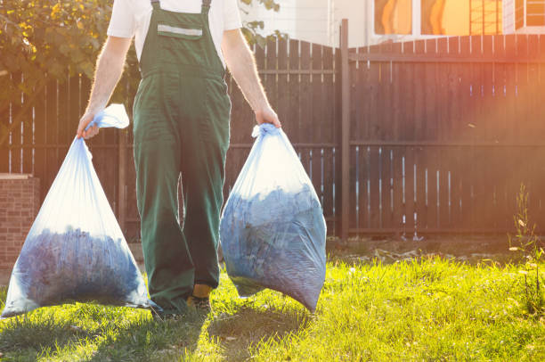 Best Shed Removal  in New Tazewell, TN