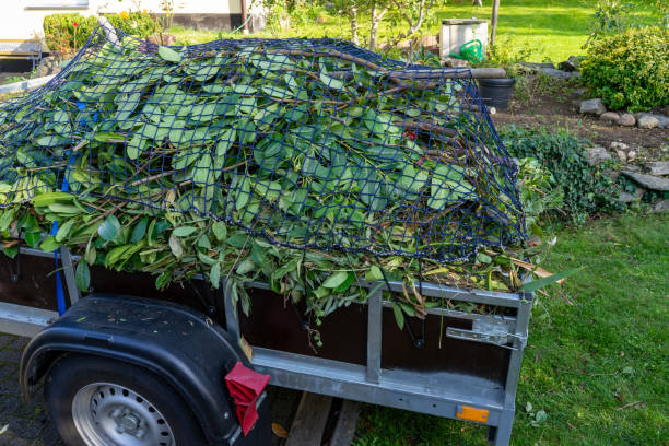 Best Yard Waste Removal  in New Tazewell, TN